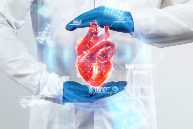 El médico observa el holograma del corazón, verifica el resultado de la prueba en la interfaz virtual y analiza los datos. Enfermedad cardíaca, infarto de miocardio, tecnologías innovadoras, medicina del futuro.