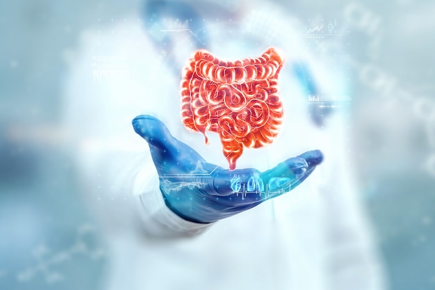 El médico observa el holograma del intestino, verifica el resultado de la prueba en la interfaz virtual y analiza los datos. Úlcera, cirugía, tecnologías innovadoras, medicina del futuro.