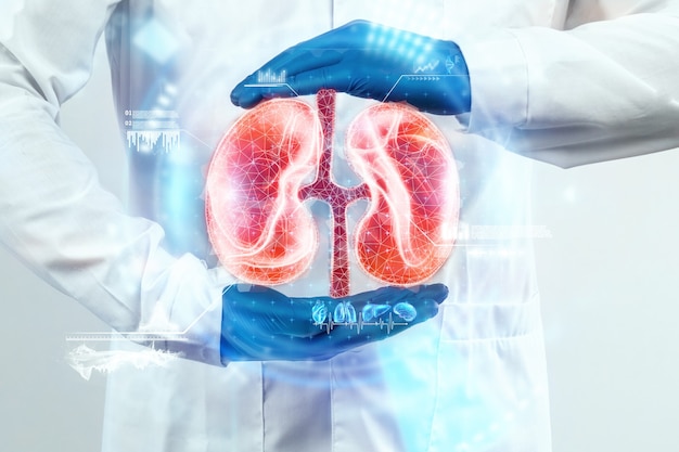 Foto el médico observa el holograma del riñón, verifica el resultado de la prueba en la interfaz virtual y analiza los datos. enfermedad renal, cálculos, tecnologías innovadoras, medicina del futuro.