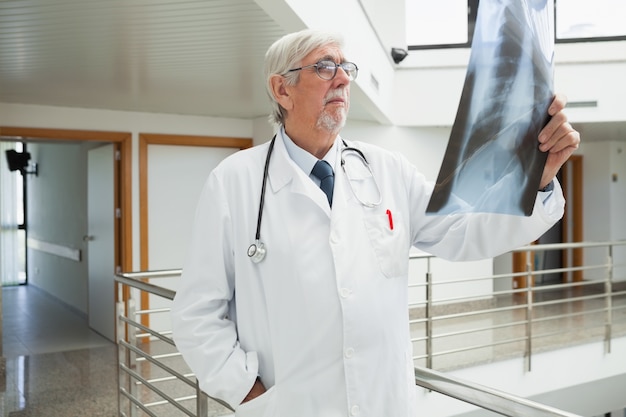 Médico de pie en el pasillo mirando una radiografía