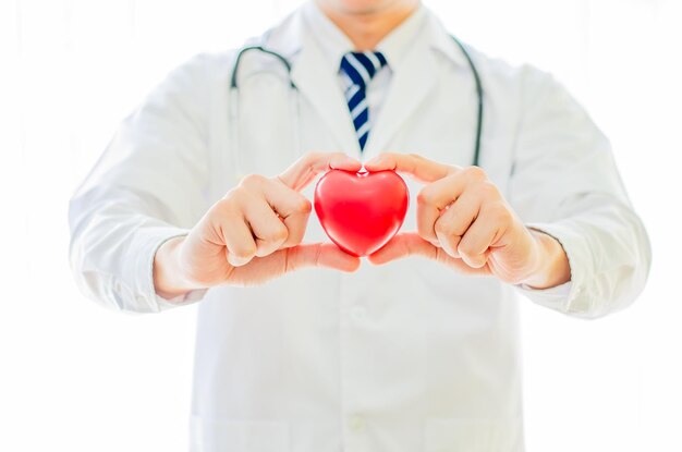 Médico profesional sosteniendo un corazón modelo rojo con un estetoscopio sobre fondo blanco.