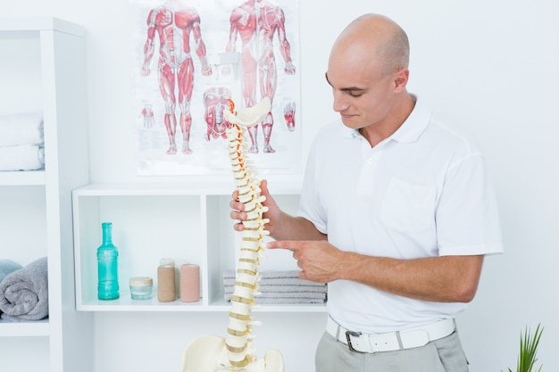 Foto médico segurando uma espinha anatômica