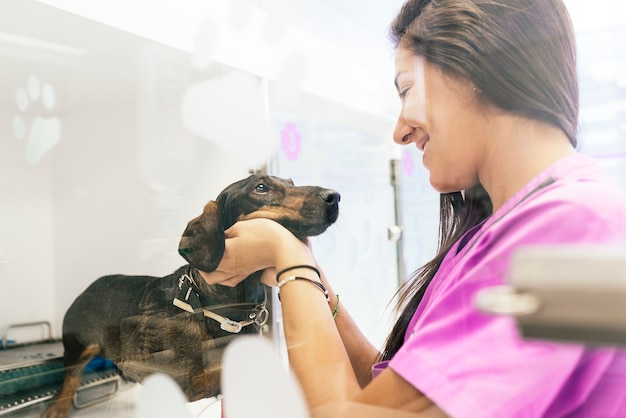 Foto médico veterinario abrazando a un hermoso perro. concepto veterinario.