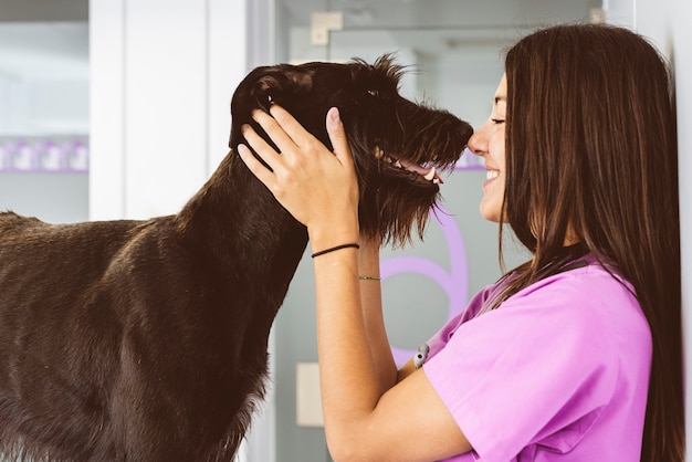 Médico veterinario abrazando a un hermoso perro. Concepto veterinario.
