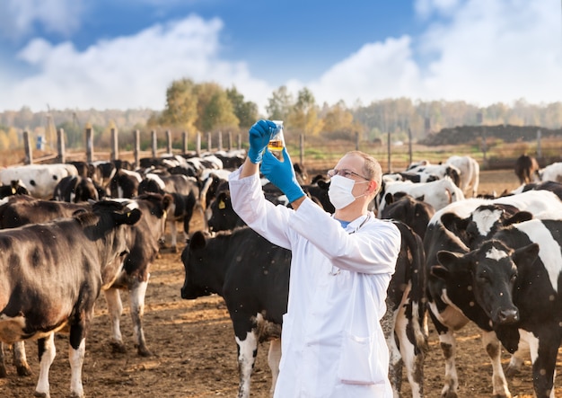 Médico veterinário examina líquido em tubo cercado por animais de fazenda