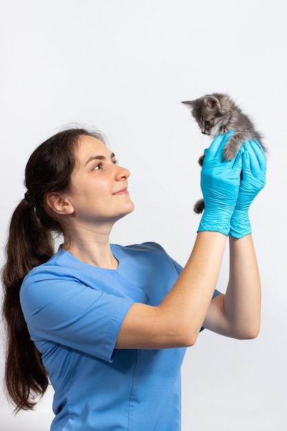 Un médico veterinario de gatos con uniforme médico y guantes sostiene un pequeño gatito.