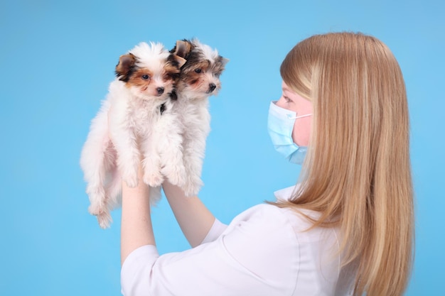 Médico veterinario joven con los cachorritos