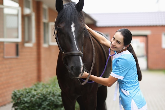 Médico veterinário ouve com estetoscópio cavalo em serviços e doenças veterinárias agrícolas