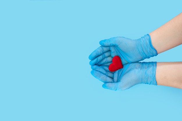 médicos, com as mãos em luvas azuis, segurando um coração em uma superfície azul