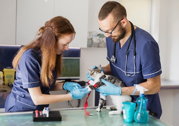 Foto médicos de tiro médio com equipamento ajudando um gato