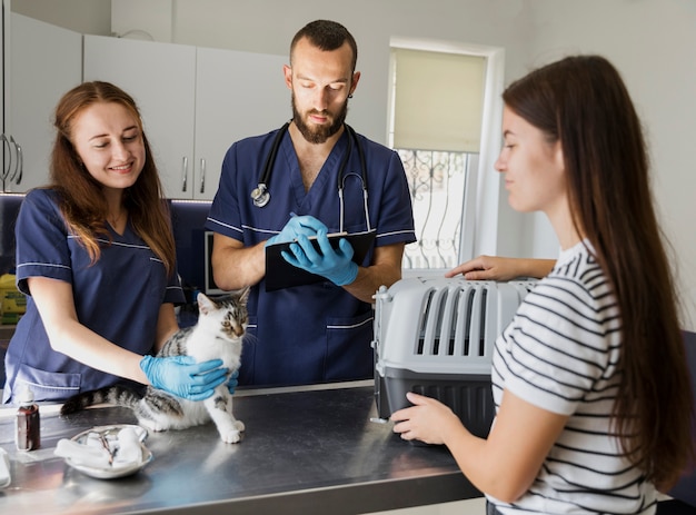 Médicos de tiro médio, verificando a saúde do gato