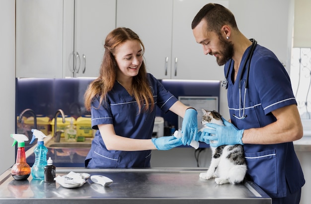 Foto médicos sonrientes de tiro medio que tratan a un gato herido