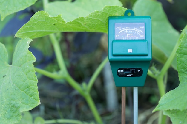 Medidor de ph molhado e sensor de luminosidade moderno conceito de jardinagem e agricultura