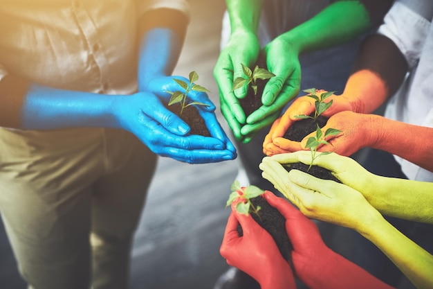 Medio ambiente por encima y el suelo con las manos de la gente para el crecimiento futuro color y sostenibilidad Apoyo voluntario y esperanza en primer plano de la planta y la diversidad para el servicio comunitario siembra y jardín