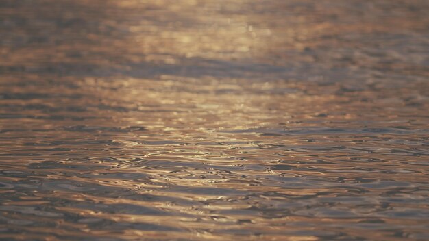 Medio ambiente tranquilo ondas en la superficie del agua de mar generación espontánea de olas