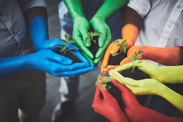 Medio ambiente voluntario y suelo con las manos de la gente para el crecimiento futuro y sostenibilidad Apoye la diversidad y la esperanza con un primer plano de plantas y colores para el servicio comunitario siembra y jardín