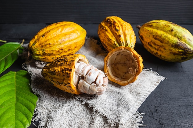 Medio corte de fruta de cacao de cerca