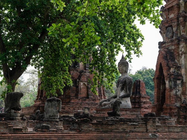 Meditación antigua estatua de buda con templo en ruinas en el templo Wat Phra Mahathat en Ayudthaya, Tailandia, templo histórico del patrimonio mundial