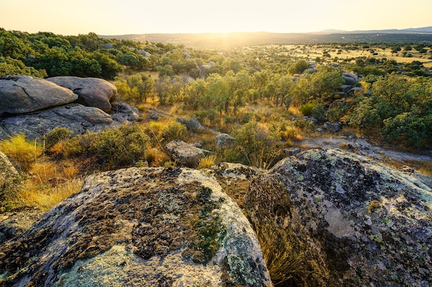 Mediterrane felsige grüne Landschaft mit Sonneneruption.