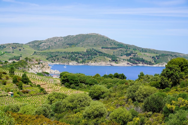 Mediterrane französische Südküste in Port Vendres Frankreich