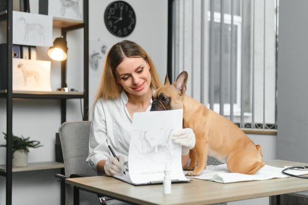 Foto medizin haustierpflege und personenkonzept nahaufnahme des französischen bulldoggenhundes und der hand des tierarztes in der tierklinik