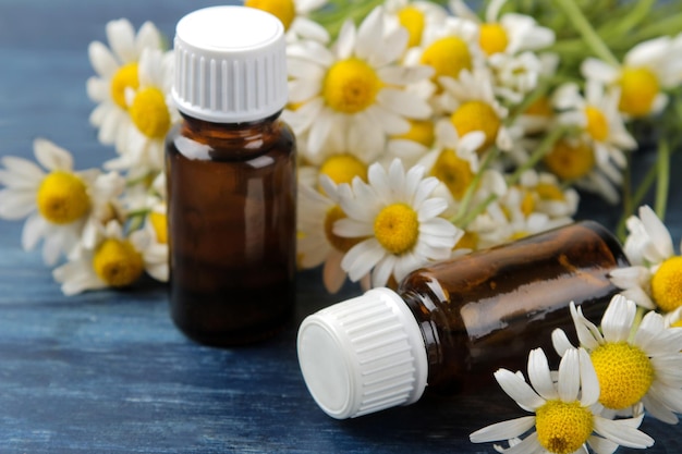 Medizinische Kamille und Kamillenextrakt in einer Flasche Öl aus Kamillenblüten Aromatherapie ein Medikament auf einem blauen Holztisch in der Nähe