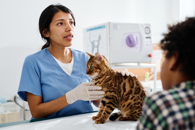 Medizinische Untersuchung in der Tierklinik