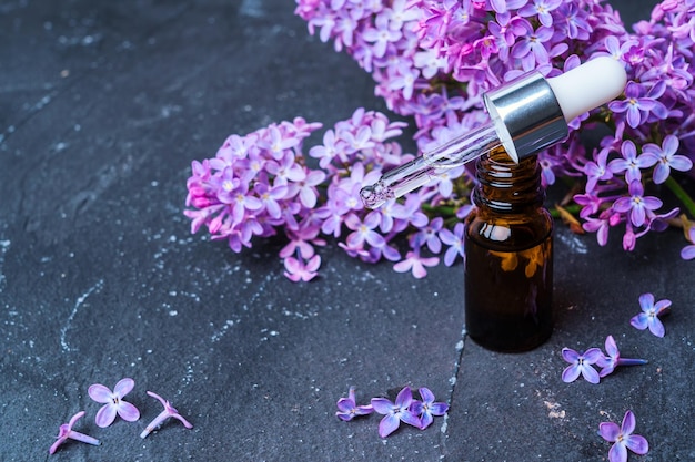 Medizinisches ätherisches Öl aus Flieder für die Aromatherapie auf dunklem Hintergrund