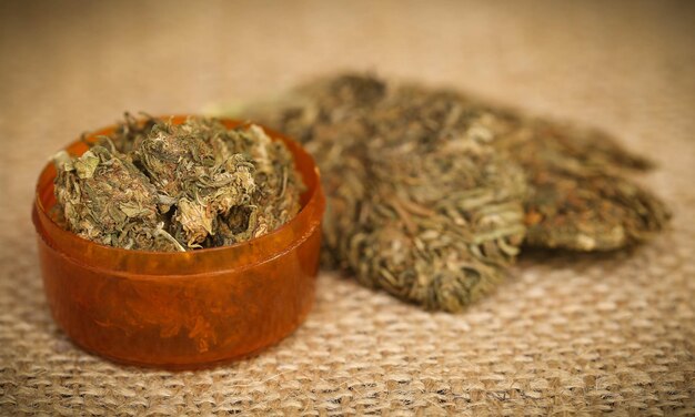 Medizinisches Cannabis, das in vielen Ländern als legale Droge verwendet wird