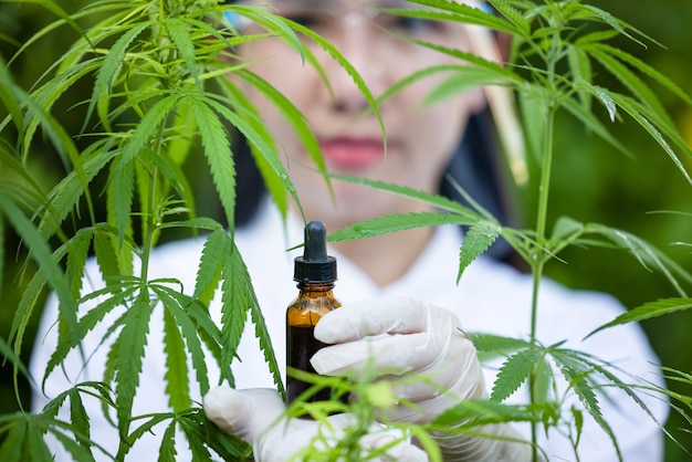 Medizinisches Cannabis mit Extraktöl in einer Flasche