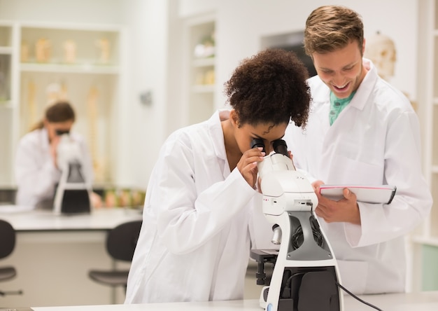 Medizinstudenten, die mit Mikroskop arbeiten