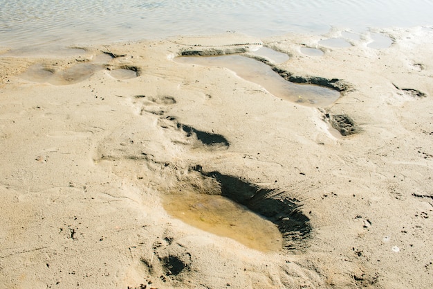 Meer Sand Textur Sonne Licht Wasser