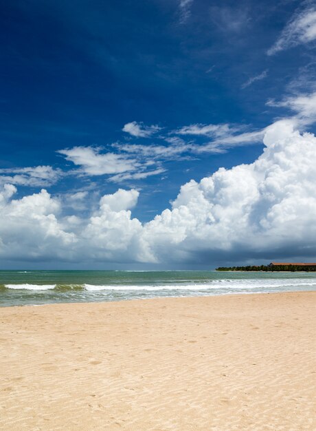 Meer und Strand mit Kopierraum