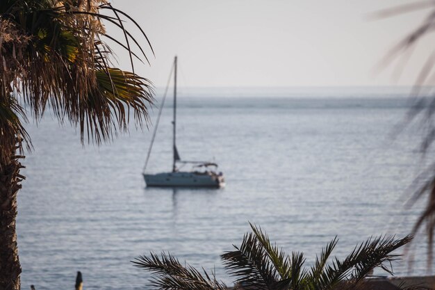 Meerblick mit Bäumen im Vordergrund und Boot im Hintergrund