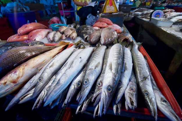 Meeresfischmarkt an der Sumon Sakhon Provinz, Thailand