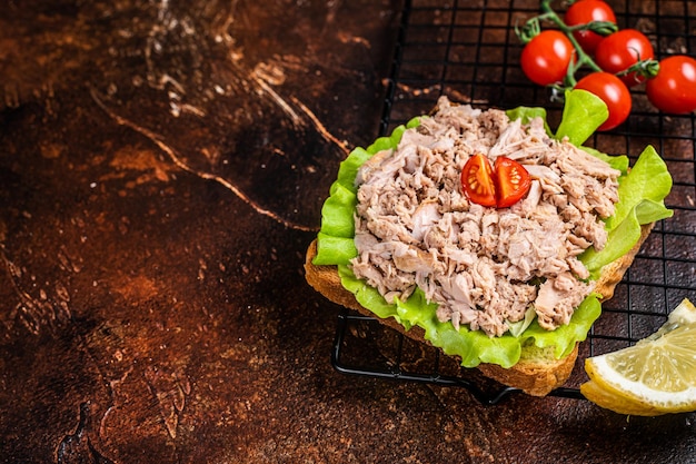 Meeresfrüchte-Toast mit Thunfischfilet in Dosen und Salat Dunkler Hintergrund Draufsicht Kopierbereich