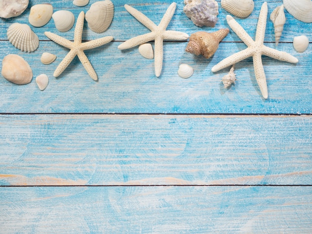 Meeresgegenstände, Muscheln und Seesterne auf Holz