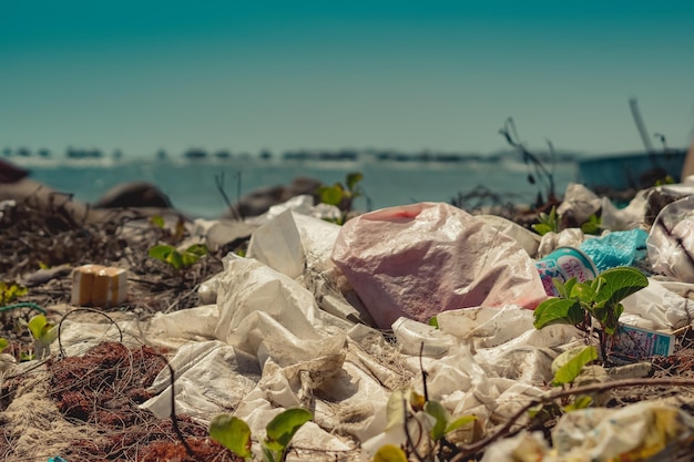 Meereshorizontlinie Echtes Leben im Ozean Klimakrise Natur Landverschmutzung Schmutziger Sandstrand, der Plastikabfälle im Freien wirft, braucht Umweltschutz Problem des vom Menschen verursachten Mülls