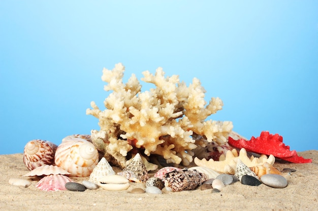 Meereskoralle mit Muscheln auf blauem Hintergrund Nahaufnahme