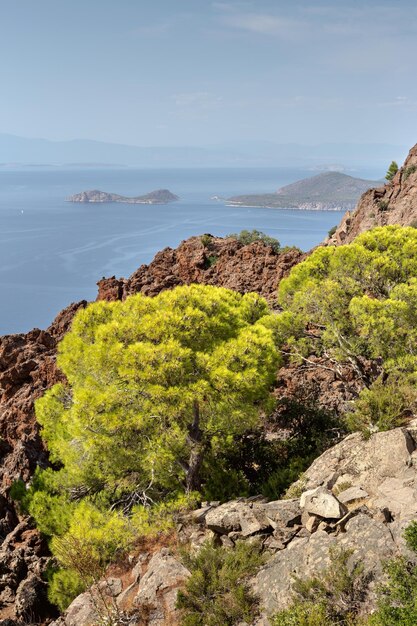 Meereslandschaft Blick auf das Meer kleine Inseln in der Ferne Kiefer und Berge vulkanischen Ursprungs aus einer Höhe