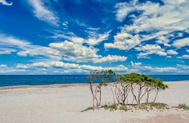 Meereslandschaft des Strandes an einem sonnigen Tag