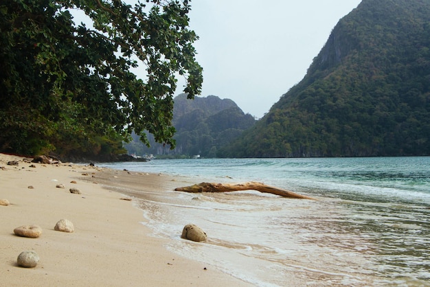 Foto meereslandschaft. tropisches klima. meer und sand. verlassener strand. philippinen. ozeanufer.