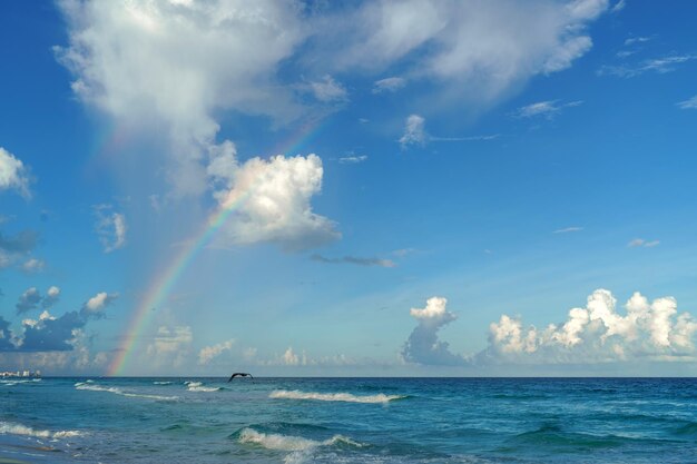 Meeresrand am karibischen Strand in der Zona Hoteleria in Cancun Quintana Roo, Mexiko