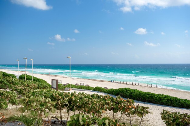 Meeresrand am karibischen Strand in der Zona Hoteleria in Cancun Quintana Roo, Mexiko