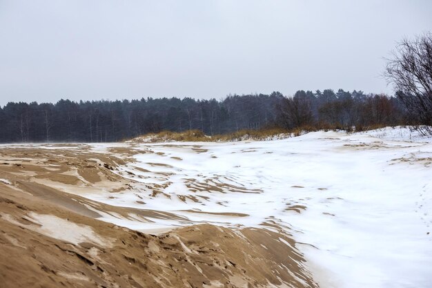 Meeressand mit weißem Schnee, grauem Himmel und dunkelgrünen Bäumen