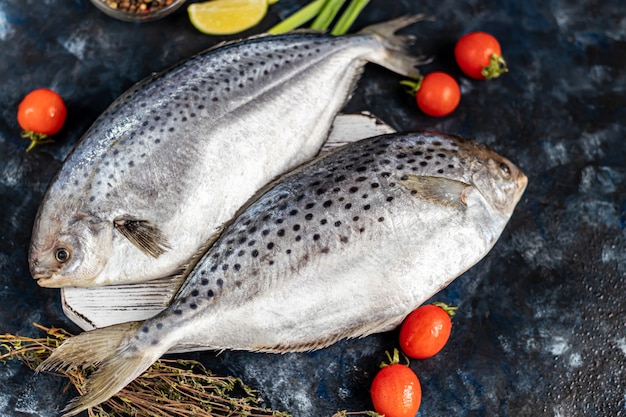 Meeresschmeckender frischer Fisch auf einem dunklen Hintergrund. Gefrorenes Produkt. Fisch mit aromatischen Kräutern, Gewürzen und Gemüse - das Konzept einer gesunden Ernährung, Ernährung oder Kochen.