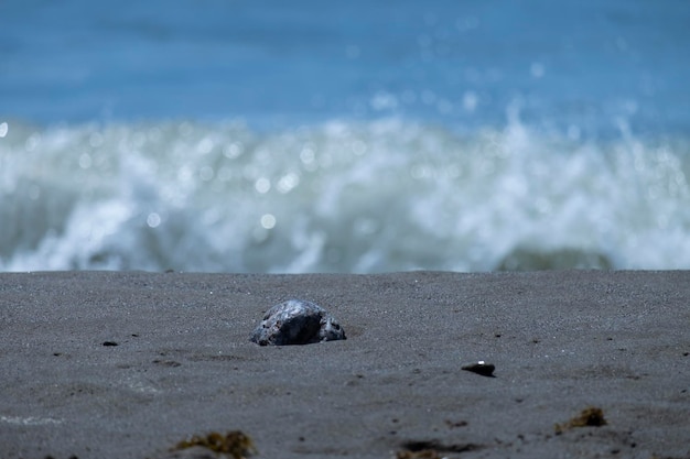 Meereswellen, die am Sandstrand brechen Meereswellen, die an der Küste des Mittelmeers brechen