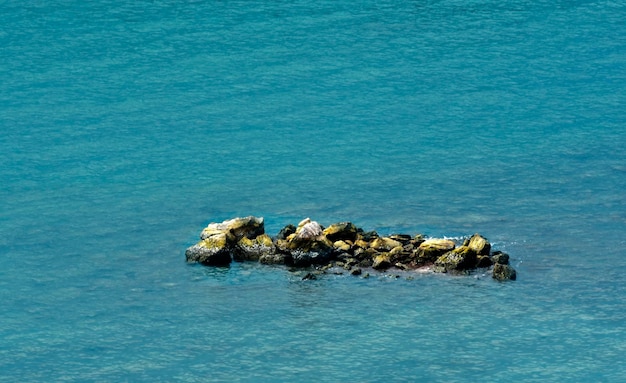 Meerwasser Strand Ozean Sommer blau Angeln Reisen