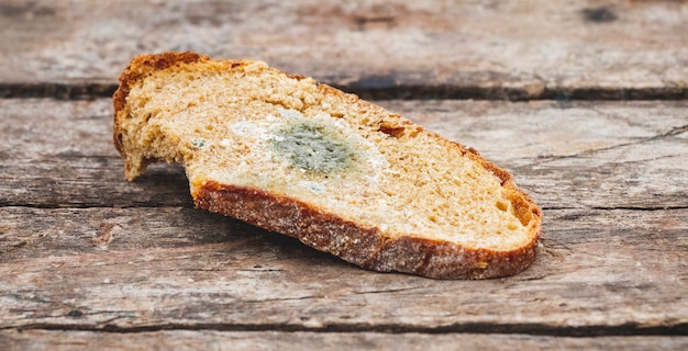 Mehltau auf einer Scheibe Brot, auf einer Holzoberfläche liegend. Altes Brot, mit Mehltau bedeckt