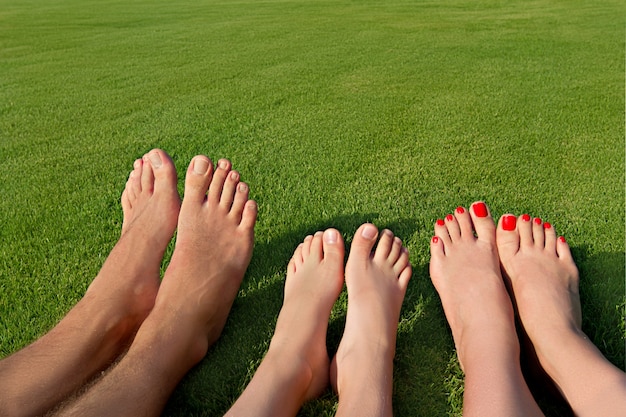 Mehrere Beine liegen im Gras und ruhen sich aus